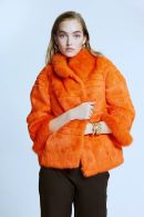 Fox Detailed Cascading Short Orange Fur